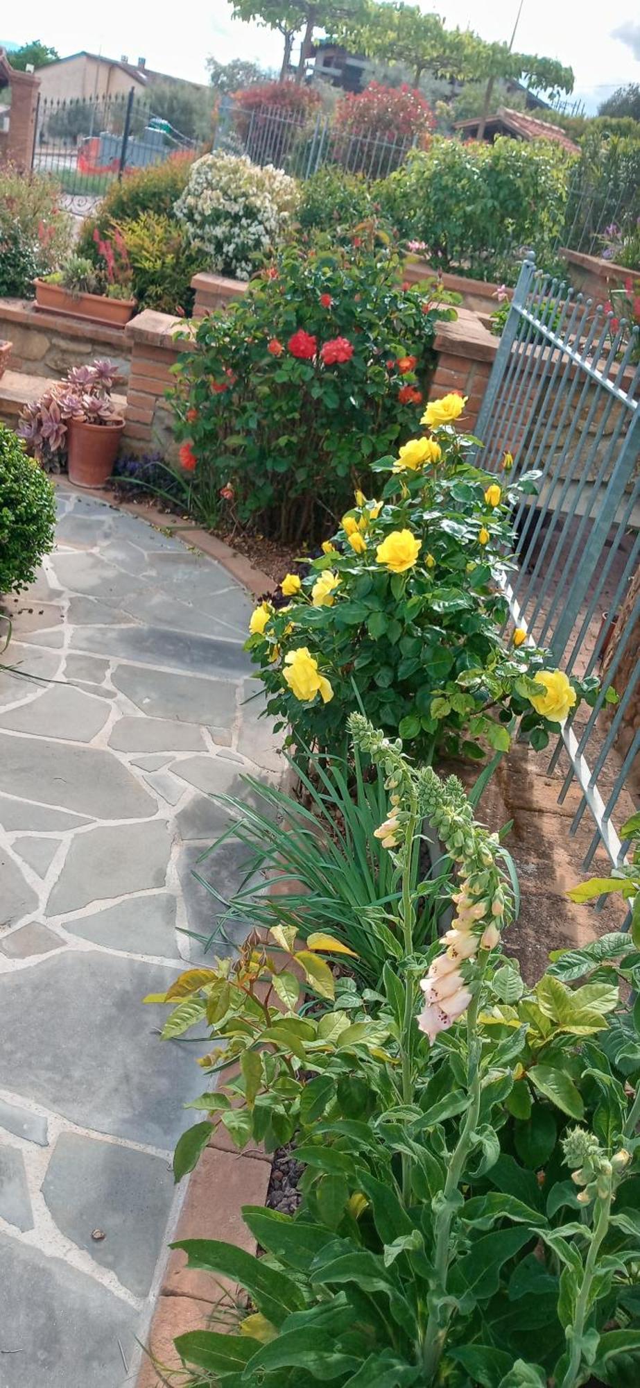 Olivo Bonsai Hotel Passignano sul Trasimeno Exterior photo